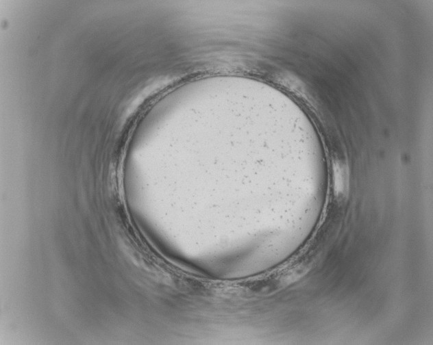 X0000057080579200510071847