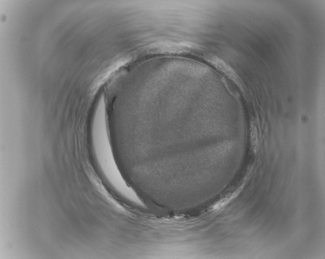 X0000057080581200510071847