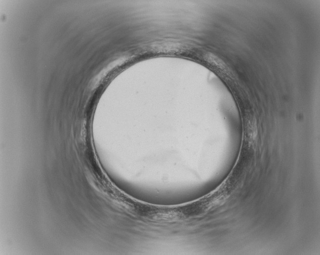 X0000057080583200510071847