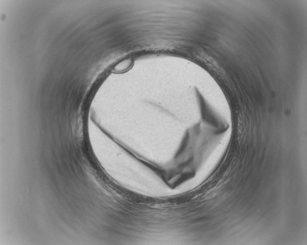 X0000057080584200510071847