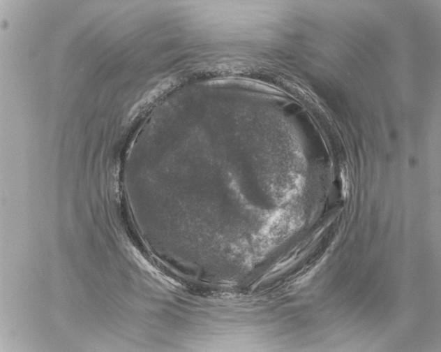 X0000057080585200510071847