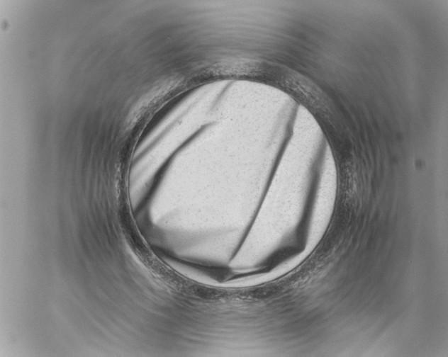 X0000057080586200510071847