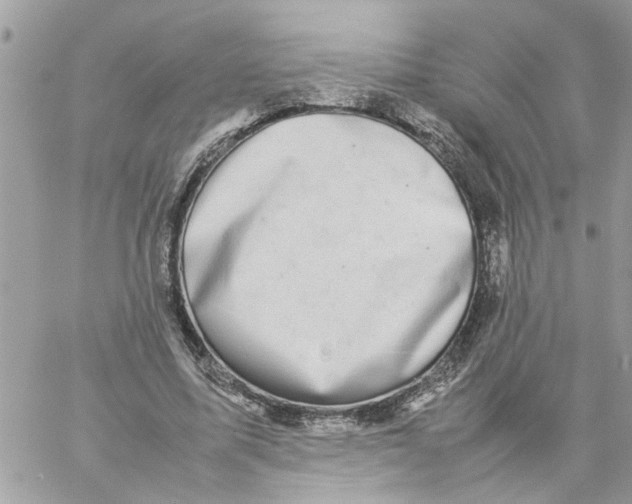 X0000057080587200510071847