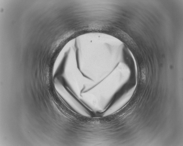 X0000057080588200510071847