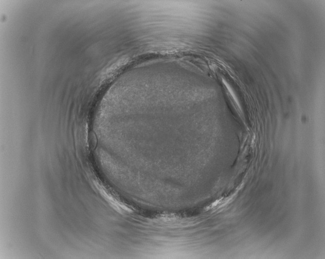 X0000057080589200510071847