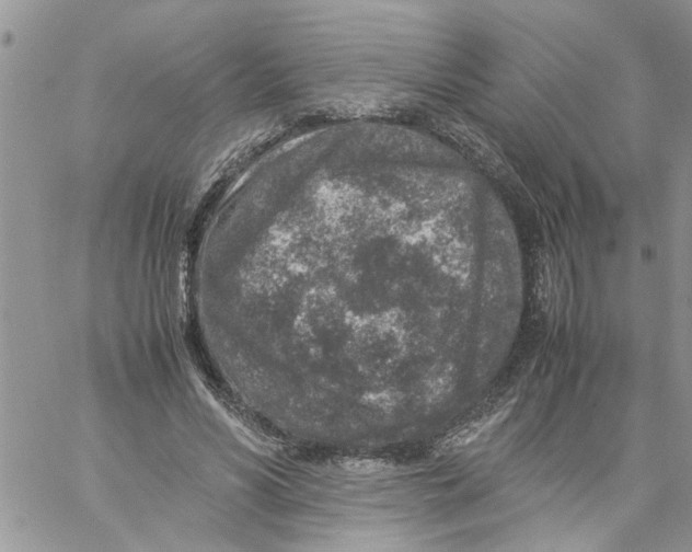 X0000057080590200510071847