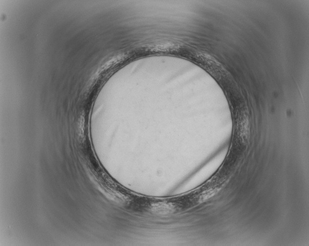 X0000057080591200510071847