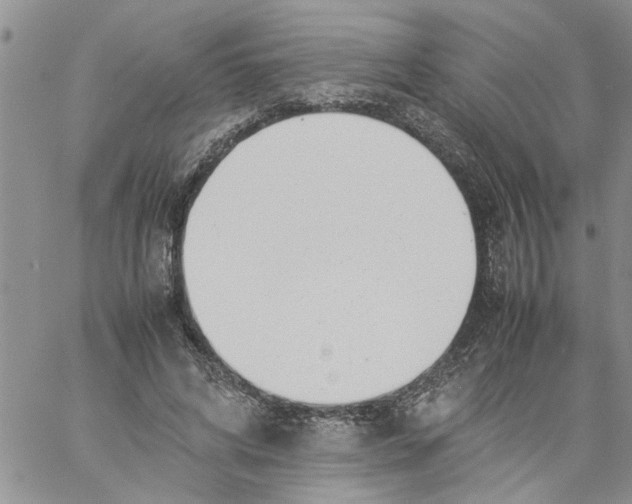 X0000057080592200510071847