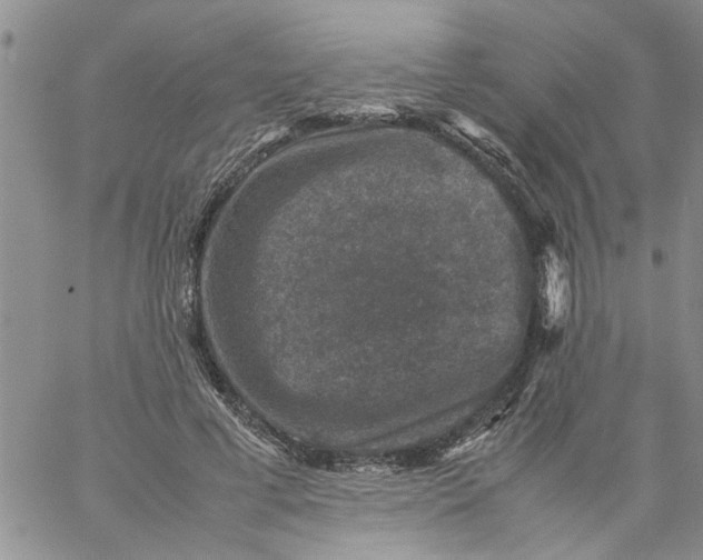 X0000057080593200510071847