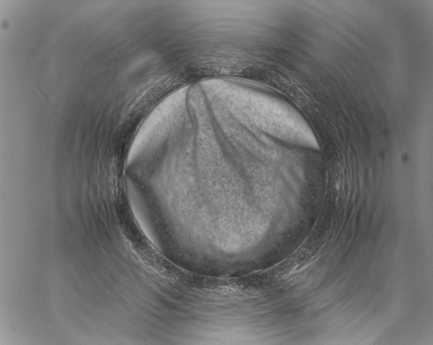 X0000057080594200510071847