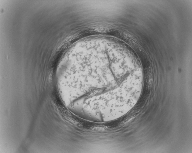 X0000057080595200510071847