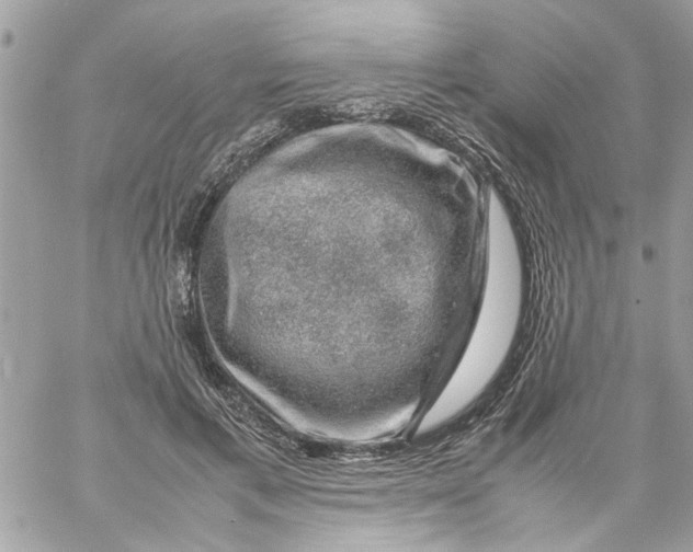 X0000057080597200510071847