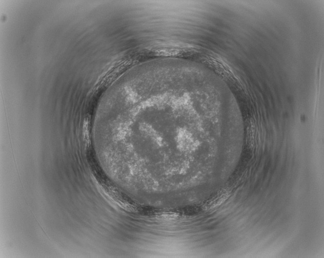 X0000057080598200510071847