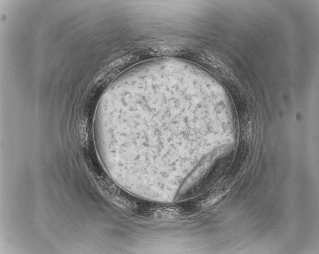 X0000057080599200510071847