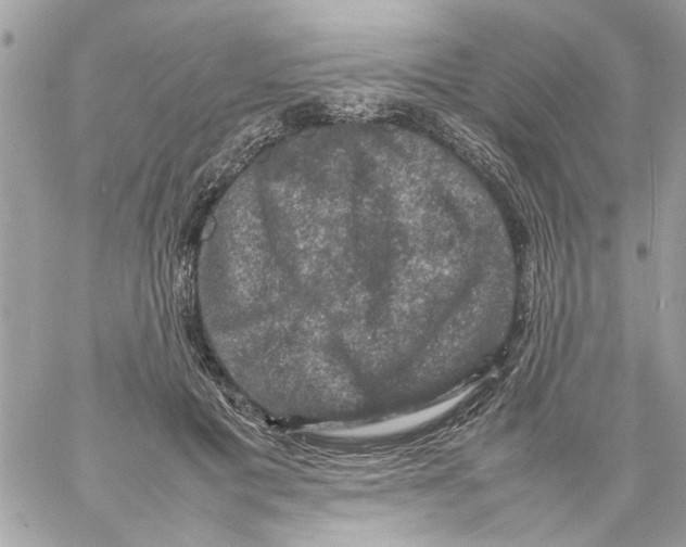 X0000057080601200510071847