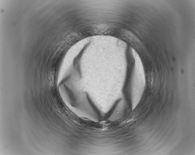 X0000057080602200510071847