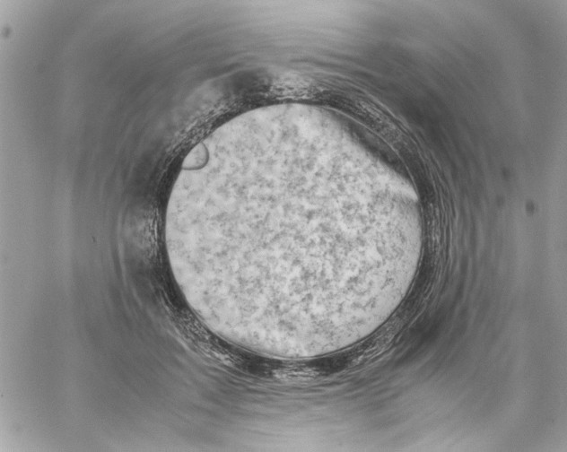 X0000057080603200510071847