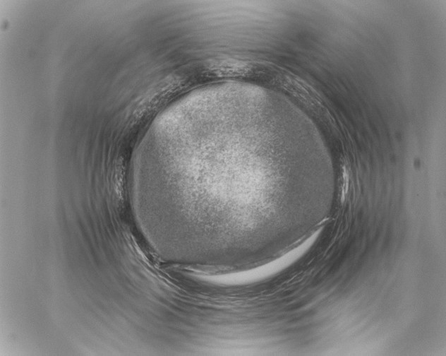 X0000057080604200510071847