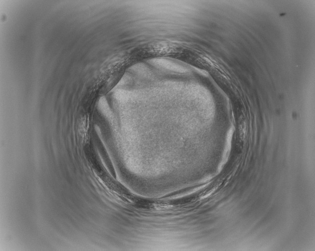 X0000057080605200510071847