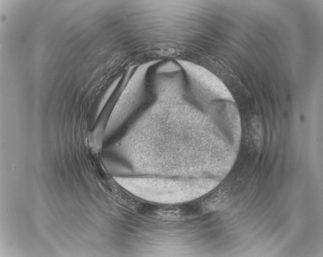 X0000057080606200510071847