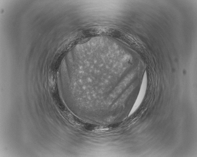 X0000057080607200510071847