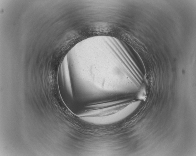 X0000057080608200510071847