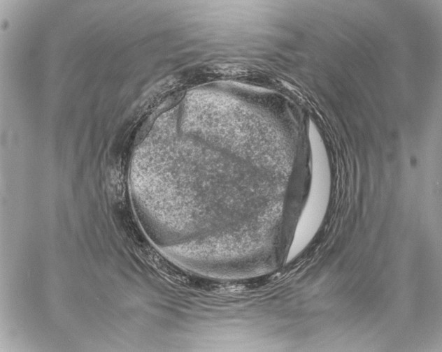 X0000057080609200510071847