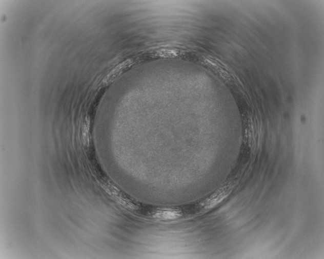 X0000057080610200510071847