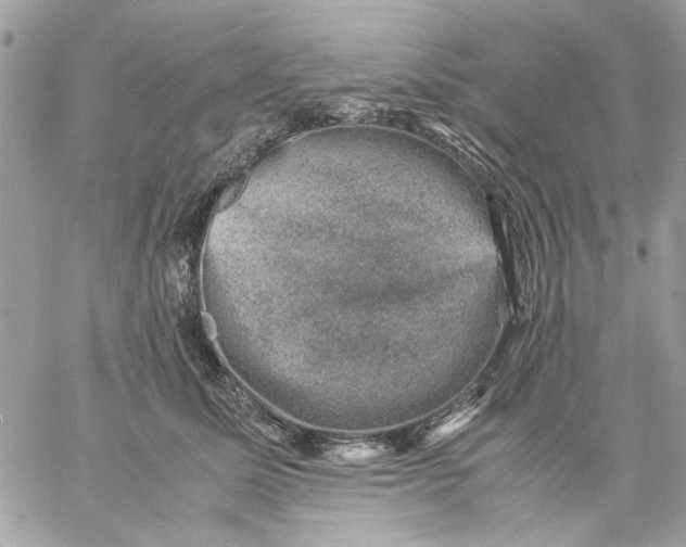 X0000057080611200510071847