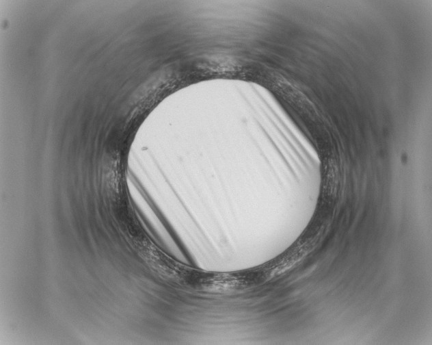 X0000057080612200510071847