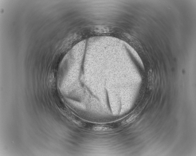 X0000057080614200510071847