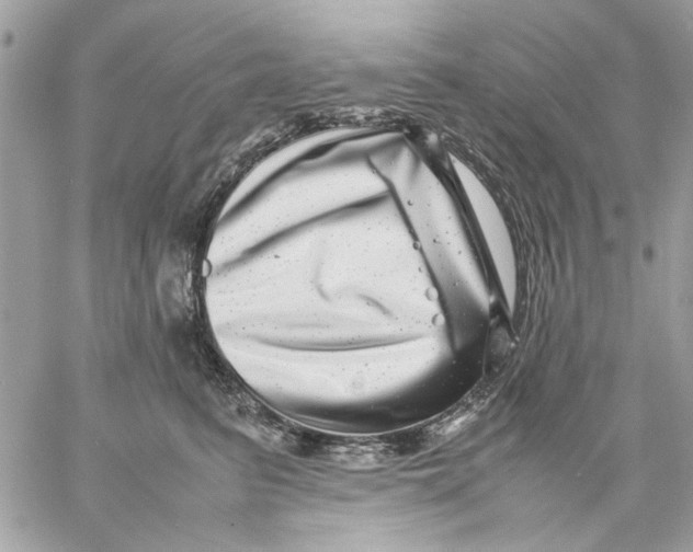 X0000057080615200510071847