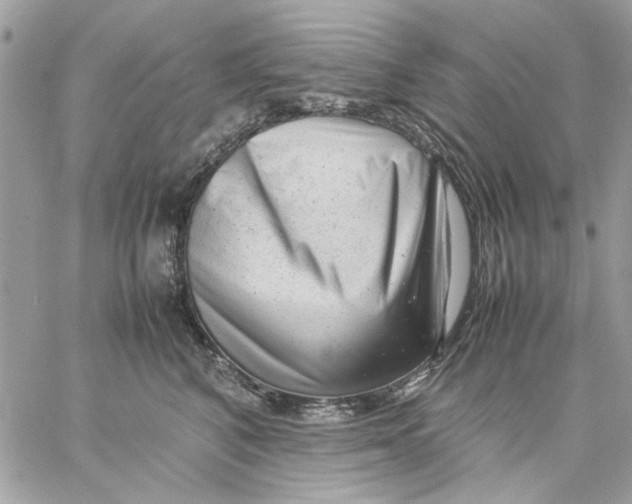 X0000057080616200510071847