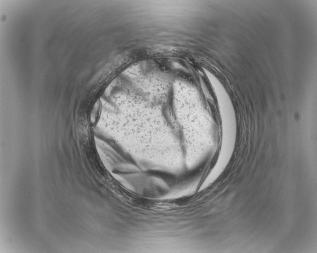 X0000057080617200510071847