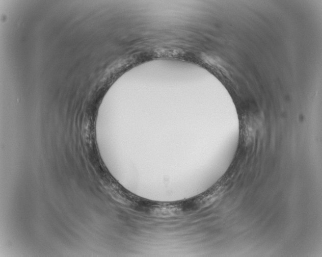 X0000057080619200510071847