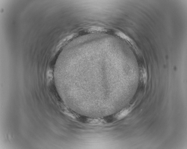 X0000057080621200510071847