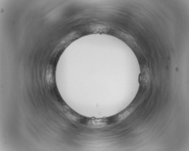 X0000057080622200510071847