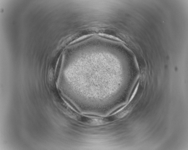 X0000057080623200510071847