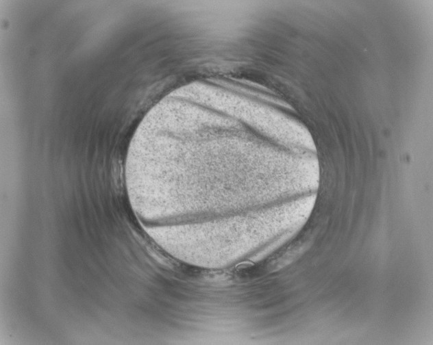 X0000057080624200510071847