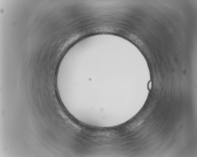 X0000057080625200510071846