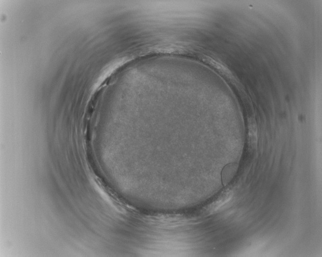 X0000057080626200510071846