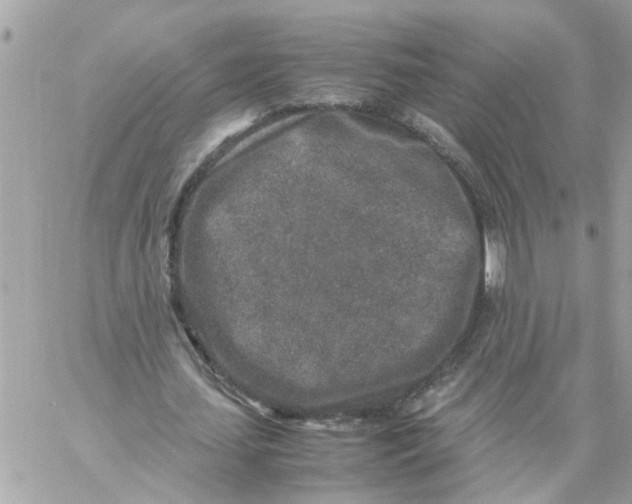 X0000057080627200510071846