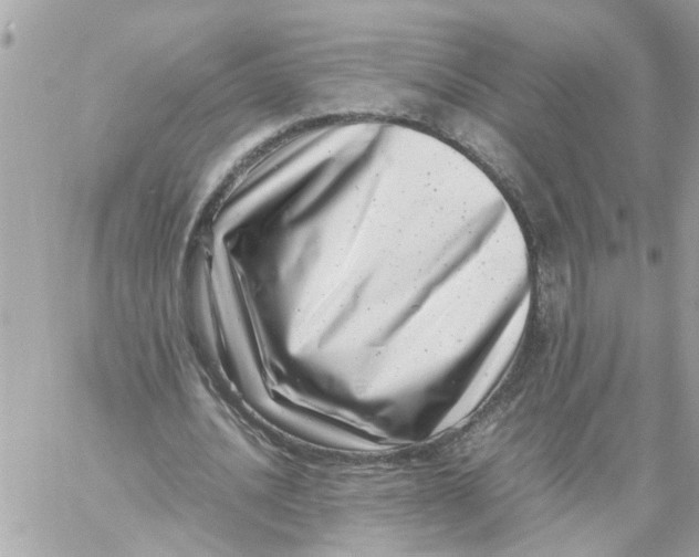 X0000057080628200510071846