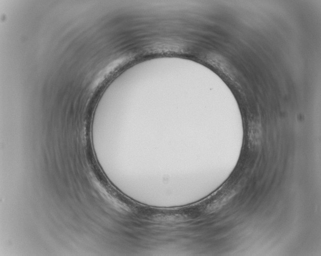 X0000057080629200510071846