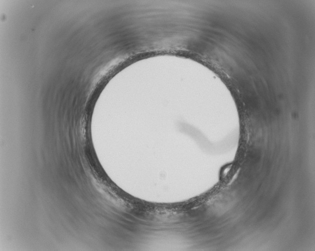 X0000057080632200510071846