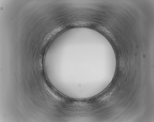 X0000057080633200510071846