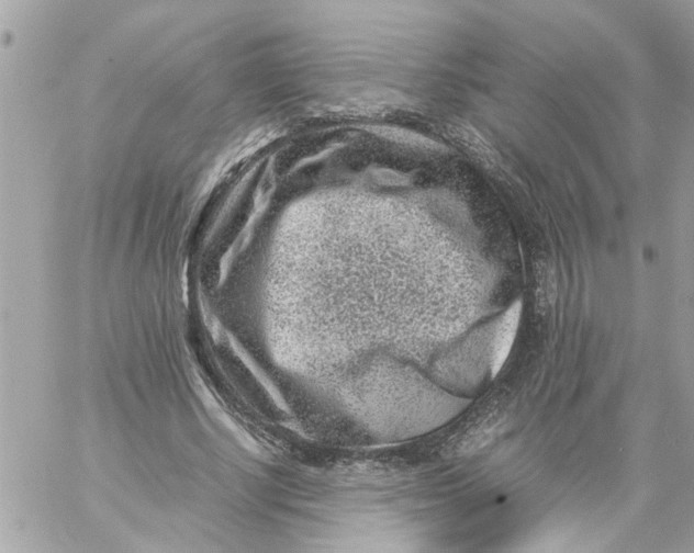 X0000057080634200510071846