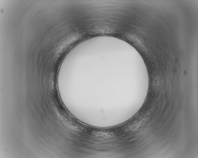 X0000057080635200510071846