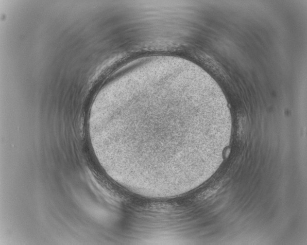 X0000057080636200510071846