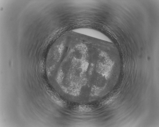 X0000057080641200510071846